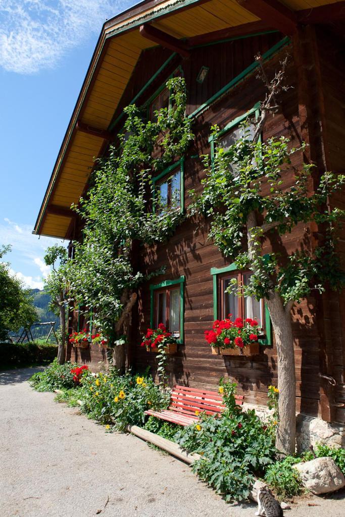 Zauchtaler Hof Hotel Алтенмаркт им Понгау Екстериор снимка