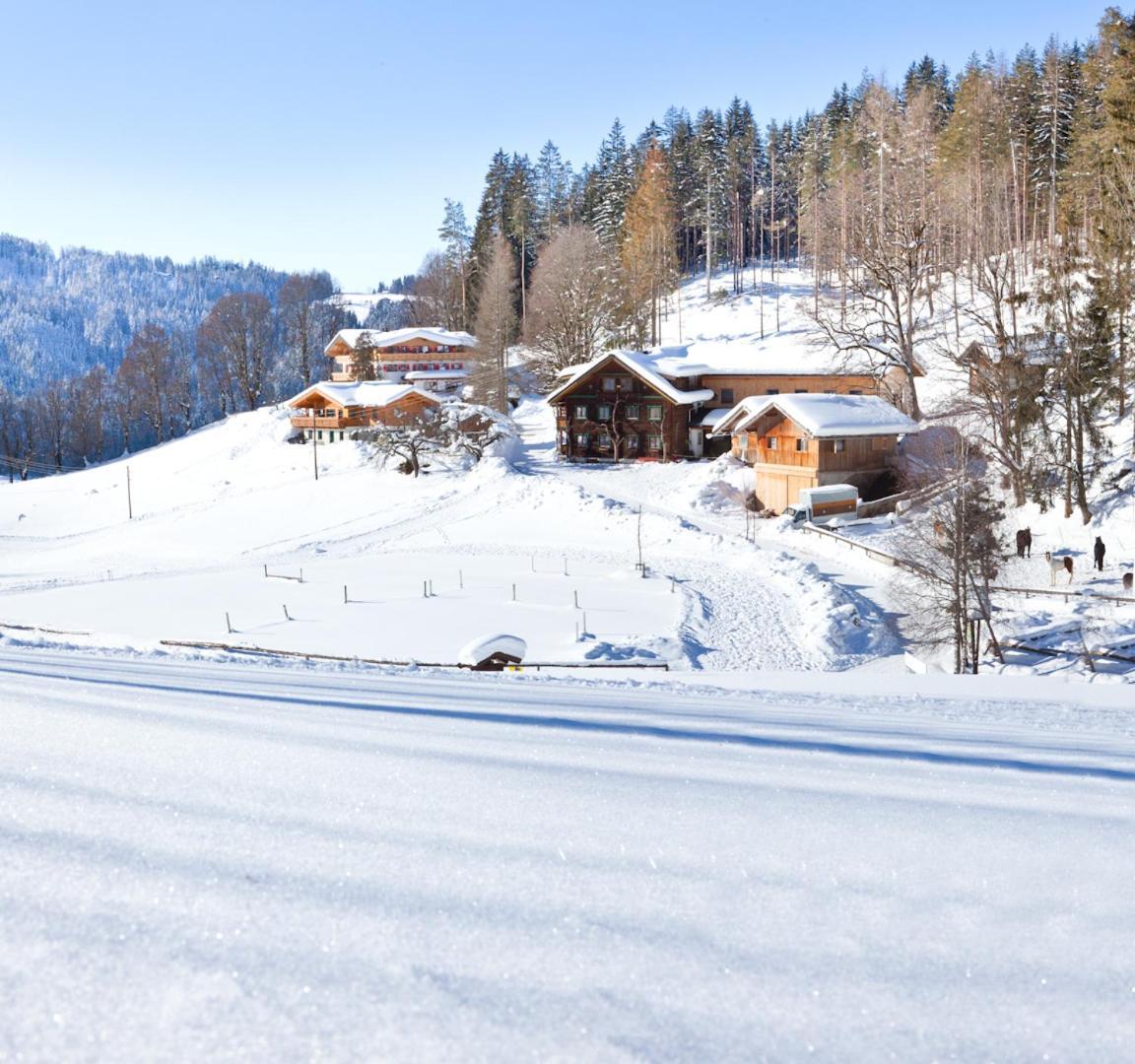 Zauchtaler Hof Hotel Алтенмаркт им Понгау Екстериор снимка